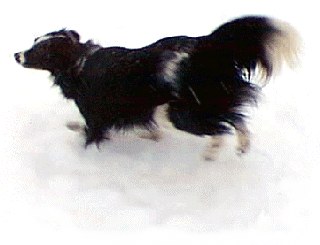 barkatoddhoursdotcom